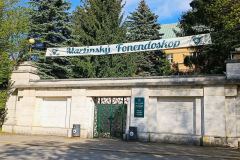 Martinsky_fonendoskop_2024_02