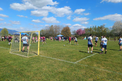 IMG_20260424_140851