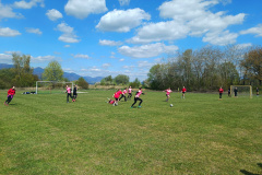 IMG_20260424_141419