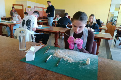 SMZ_2026_02