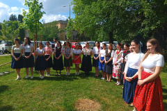 IMG_20260506_153242