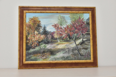 DSC0030