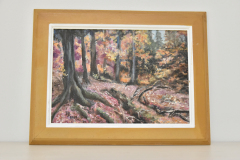 DSC0031