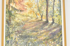 DSC0039